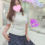 ヒメ日記 2025/04/11 11:41 投稿 滝沢しおり 松戸人妻花壇