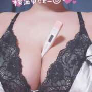 ヒメ日記 2025/04/14 07:45 投稿 滝沢しおり 松戸人妻花壇