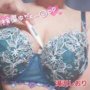 ヒメ日記 2025/04/17 07:02 投稿 滝沢しおり 松戸人妻花壇