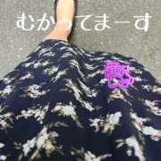 ヒメ日記 2025/04/20 12:31 投稿 滝沢しおり 松戸人妻花壇