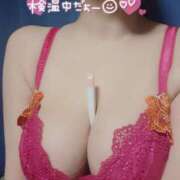 ヒメ日記 2025/04/23 07:18 投稿 滝沢しおり 松戸人妻花壇