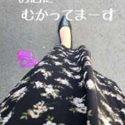 ヒメ日記 2025/05/05 12:31 投稿 滝沢しおり 松戸人妻花壇