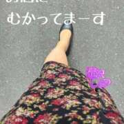 ヒメ日記 2025/05/19 12:32 投稿 滝沢しおり 松戸人妻花壇