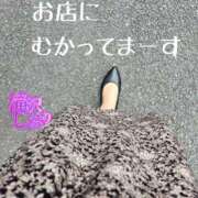 ヒメ日記 2025/05/26 12:32 投稿 滝沢しおり 松戸人妻花壇