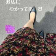 ヒメ日記 2025/06/01 12:31 投稿 滝沢しおり 松戸人妻花壇