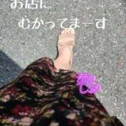 ヒメ日記 2025/06/27 13:30 投稿 滝沢しおり 松戸人妻花壇