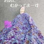 ヒメ日記 2025/08/05 12:31 投稿 滝沢しおり 松戸人妻花壇