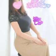 ヒメ日記 2025/08/12 10:02 投稿 滝沢しおり 松戸人妻花壇