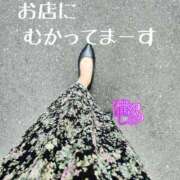 ヒメ日記 2025/08/12 12:31 投稿 滝沢しおり 松戸人妻花壇