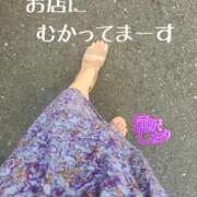 ヒメ日記 2025/09/01 12:31 投稿 滝沢しおり 松戸人妻花壇