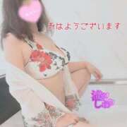 ヒメ日記 2025/09/30 08:11 投稿 滝沢しおり 松戸人妻花壇