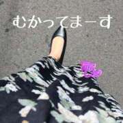 ヒメ日記 2025/10/05 12:31 投稿 滝沢しおり 松戸人妻花壇