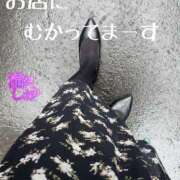 ヒメ日記 2025/10/26 11:30 投稿 滝沢しおり 松戸人妻花壇