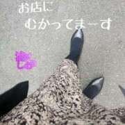 ヒメ日記 2025/11/02 12:31 投稿 滝沢しおり 松戸人妻花壇