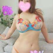 ヒメ日記 2025/11/09 13:08 投稿 滝沢しおり 松戸人妻花壇