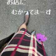 ヒメ日記 2025/11/10 10:02 投稿 滝沢しおり 松戸人妻花壇