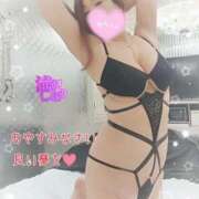 ヒメ日記 2025/11/21 23:45 投稿 滝沢しおり 松戸人妻花壇