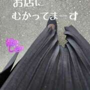 ヒメ日記 2025/11/23 11:31 投稿 滝沢しおり 松戸人妻花壇