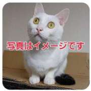 ヒメ日記 2025/11/28 21:25 投稿 滝沢しおり 松戸人妻花壇