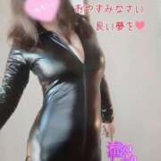 ヒメ日記 2025/12/09 23:15 投稿 滝沢しおり 松戸人妻花壇