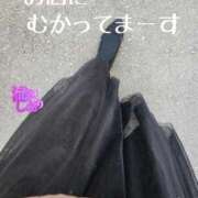 ヒメ日記 2025/12/28 12:31 投稿 滝沢しおり 松戸人妻花壇