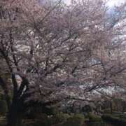 ヒメ日記 2025/04/11 10:11 投稿 まき DANKAN（ダンカン）