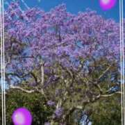 ヒメ日記 2025/02/16 14:16 投稿 きずな 熟女の風俗最終章 蒲田店