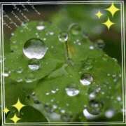 ヒメ日記 2025/03/16 14:16 投稿 きずな 熟女の風俗最終章 蒲田店