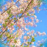 ヒメ日記 2025/04/15 13:50 投稿 きずな 熟女の風俗最終章 蒲田店