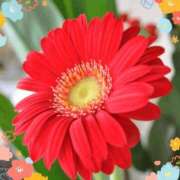 ヒメ日記 2025/04/18 14:00 投稿 きずな 熟女の風俗最終章 蒲田店