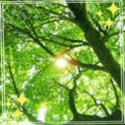 ヒメ日記 2025/05/27 15:50 投稿 きずな 熟女の風俗最終章 蒲田店