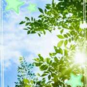 ヒメ日記 2025/07/21 19:10 投稿 きずな 熟女の風俗最終章 蒲田店