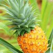 ヒメ日記 2025/08/17 16:34 投稿 きずな 熟女の風俗最終章 蒲田店