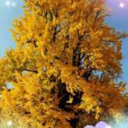 きずな こんにちは 熟女の風俗最終章 蒲田店