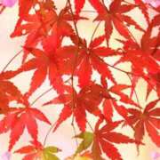 ヒメ日記 2025/12/15 14:20 投稿 きずな 熟女の風俗最終章 蒲田店