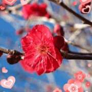 きずな こんにちは 熟女の風俗最終章 蒲田店