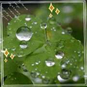 ヒメ日記 2026/02/02 17:20 投稿 きずな 熟女の風俗最終章 蒲田店