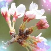 ヒメ日記 2026/03/19 14:20 投稿 きずな 熟女の風俗最終章 蒲田店