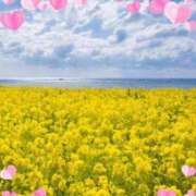 ヒメ日記 2026/03/20 16:50 投稿 きずな 熟女の風俗最終章 蒲田店