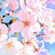 ヒメ日記 2026/03/29 19:36 投稿 きずな 熟女の風俗最終章 蒲田店