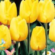 ヒメ日記 2026/04/13 18:20 投稿 きずな 熟女の風俗最終章 蒲田店