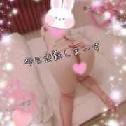 ヒメ日記 2026/02/12 18:01 投稿 夢風　かえら エテルナ京都