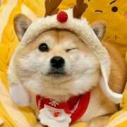 ヒメ日記 2024/12/15 10:35 投稿 ひかる かまくら御殿