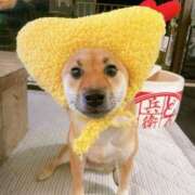 ヒメ日記 2024/12/29 17:44 投稿 ひかる かまくら御殿