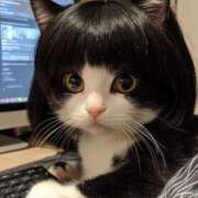 ヒメ日記 2025/01/12 21:27 投稿 ひかる かまくら御殿