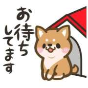 ヒメ日記 2025/04/27 10:47 投稿 ひかる かまくら御殿