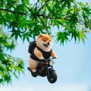 ヒメ日記 2025/05/10 11:13 投稿 ひかる かまくら御殿