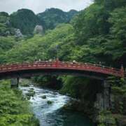 ヒメ日記 2025/05/24 21:06 投稿 ひかる かまくら御殿