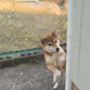 ヒメ日記 2025/06/07 21:29 投稿 ひかる かまくら御殿