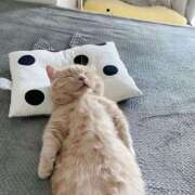 ヒメ日記 2025/08/24 09:57 投稿 ひかる かまくら御殿